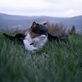 Black BatCat Cosplay Mask for Cats – Extra Thick Durable Pet Costume, Comfortable Halloween Apparel, Funny Superhero Hat, Catman Mask, Handmade Cat Outfit (Medium)