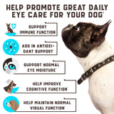 Do Not Sell On Amazon Eye Vitamins For Dogs Dog Vision Supplement For Tear Stains Dog Eye Care Immune Support Vitamin