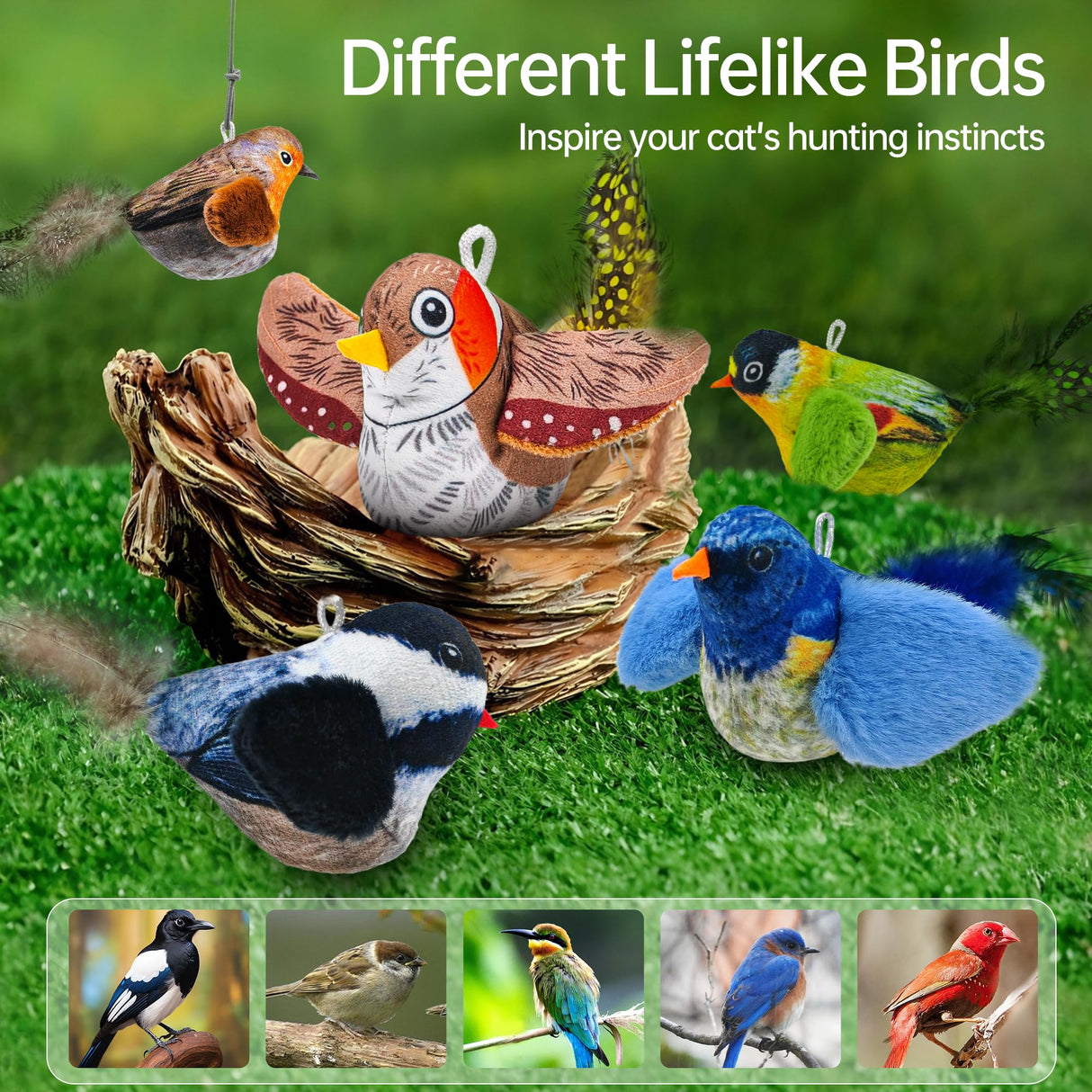 Wagcraze Chirping Bird, not Flapping Wings Door Hanging Cat Catnip Feather Toy - Interactive Cat Toys for Indoor Cats - Automatic Chirping Cat Toy for Cat Exercise & Kicker to Self Play (Blue New)