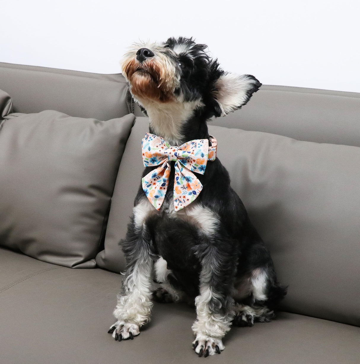 Unique Style Paws Cotton Dog Collar with Bow Floral Plaid Colorful Dog Collar with Bow Tie for Small Medium Large Dogs Pets Gifts