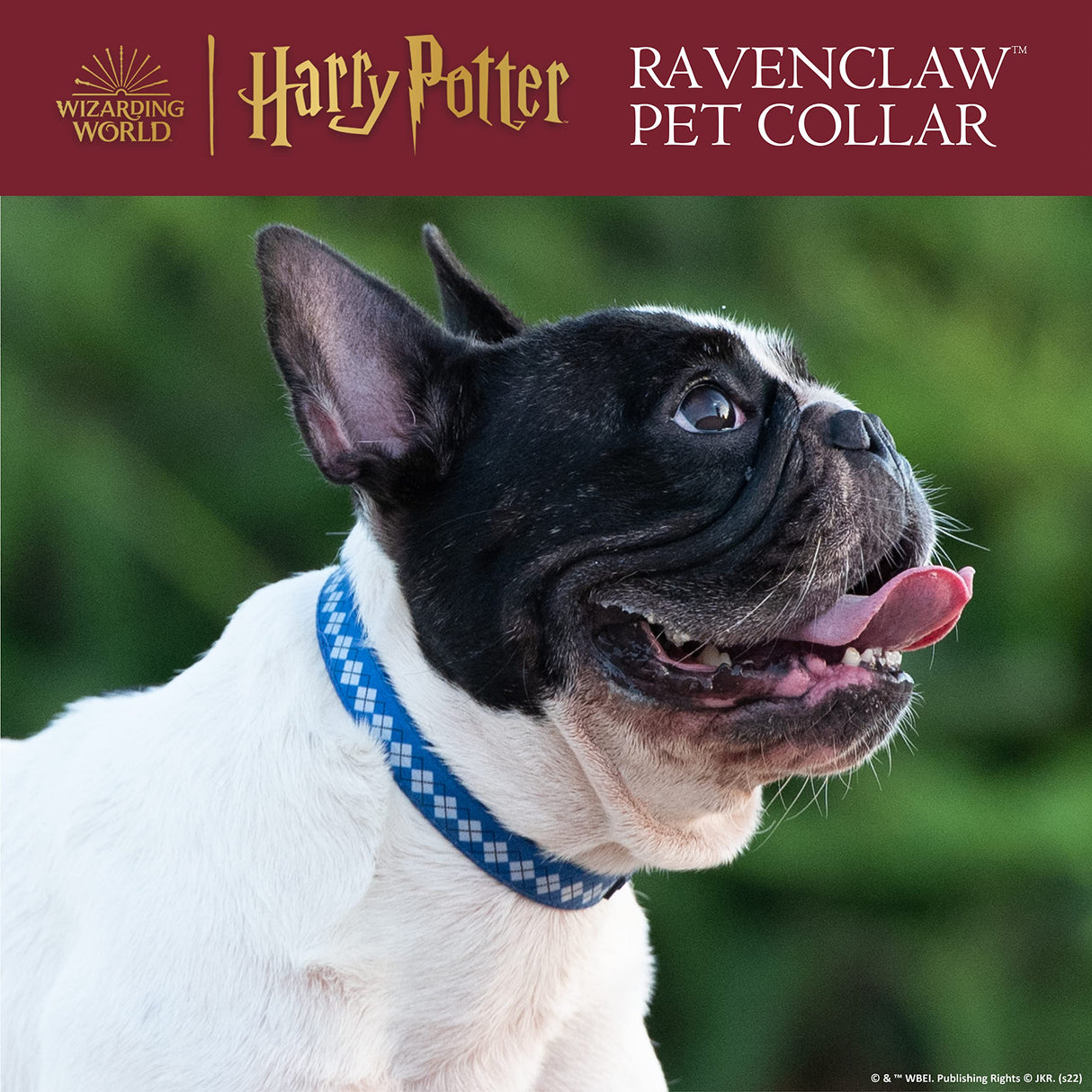 Harry Potter Ravenclaw Dog Collar - Adjustable Nylon Collar for Large Dogs - Officially Licensed Dog Apparel & Accessories for Hogwarts Houses - Size Extra Large