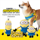 Minions Dog Harness, Large, Blue Minions in a Row | Comfortable Mesh No-Pull Dog Harness| Gifts for Minions Fans and Their Pets | Officially Licensed Pet Product from Universal Studios