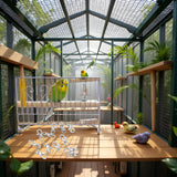 Pssopp 12Pcs Pet Birds Cage Metal Hook Clip, Iron Anti Escape Pet Bird Cage Door Buckle Lock Claw Snap Hook for Home Use Pet Supplies