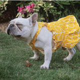 Pet Clothes Dress Cotton Cartoon Print Spring