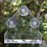 Acrylic Transparent Bird Feeder with Suction Cup