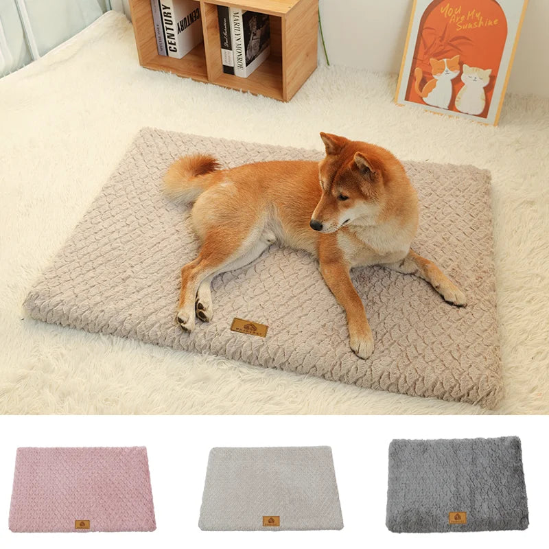 Orthopedic Memory Foam Dog Bed