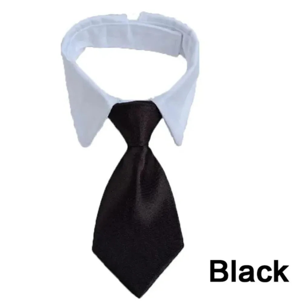 Formal Necktie Collar