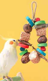 Natural Wooden Blocks Bird Chewing Toy