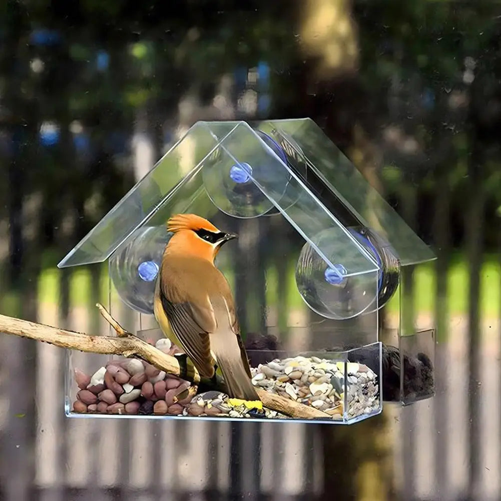 Acrylic Transparent Bird Feeder with Suction Cup