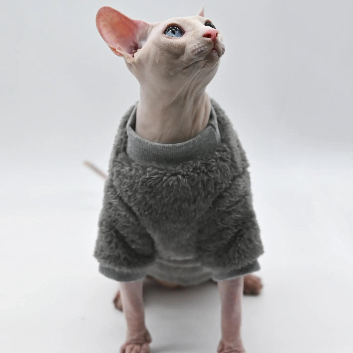 Cozy Double Sided Winter Jacket for Hairless Cats