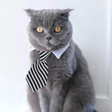Formal Necktie Collar