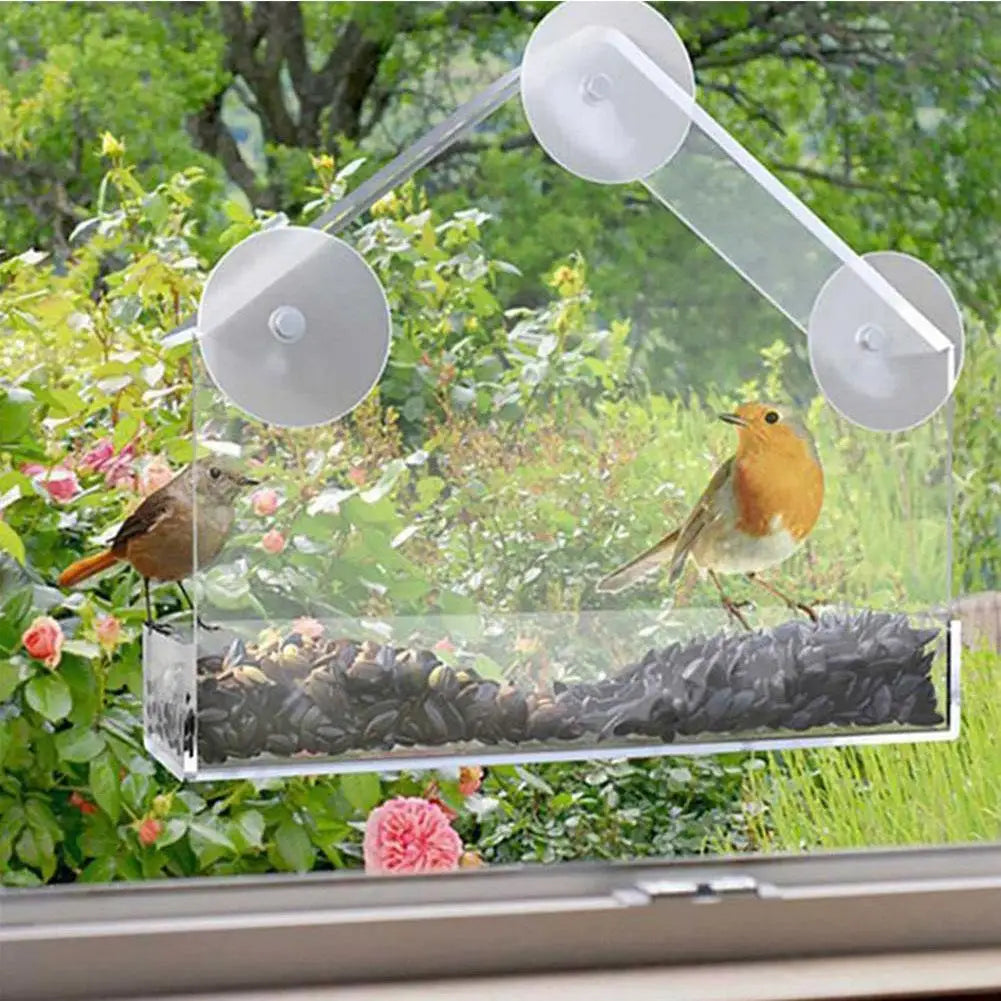 Acrylic Transparent Bird Feeder with Suction Cup