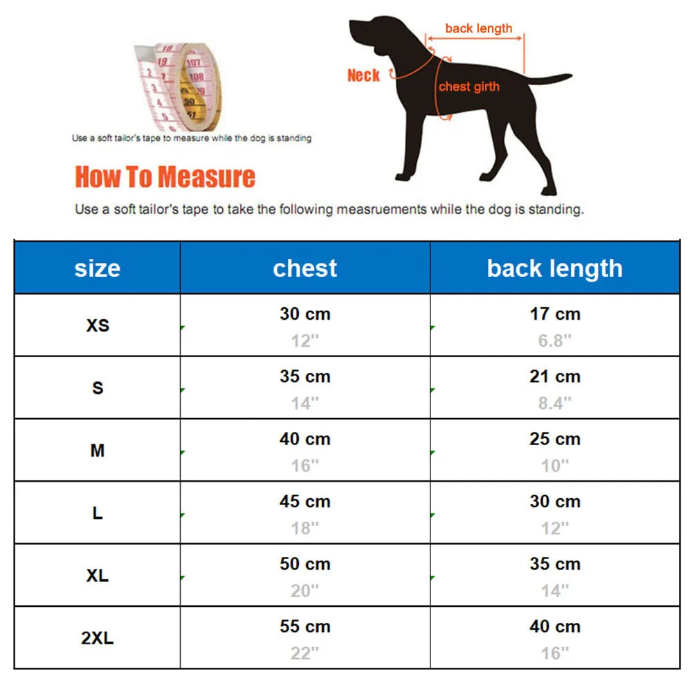 Warm Winter Cat Vest with Harness