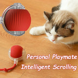 Automatic Sensor Cat Toy