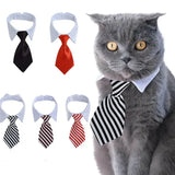 Formal Necktie Collar