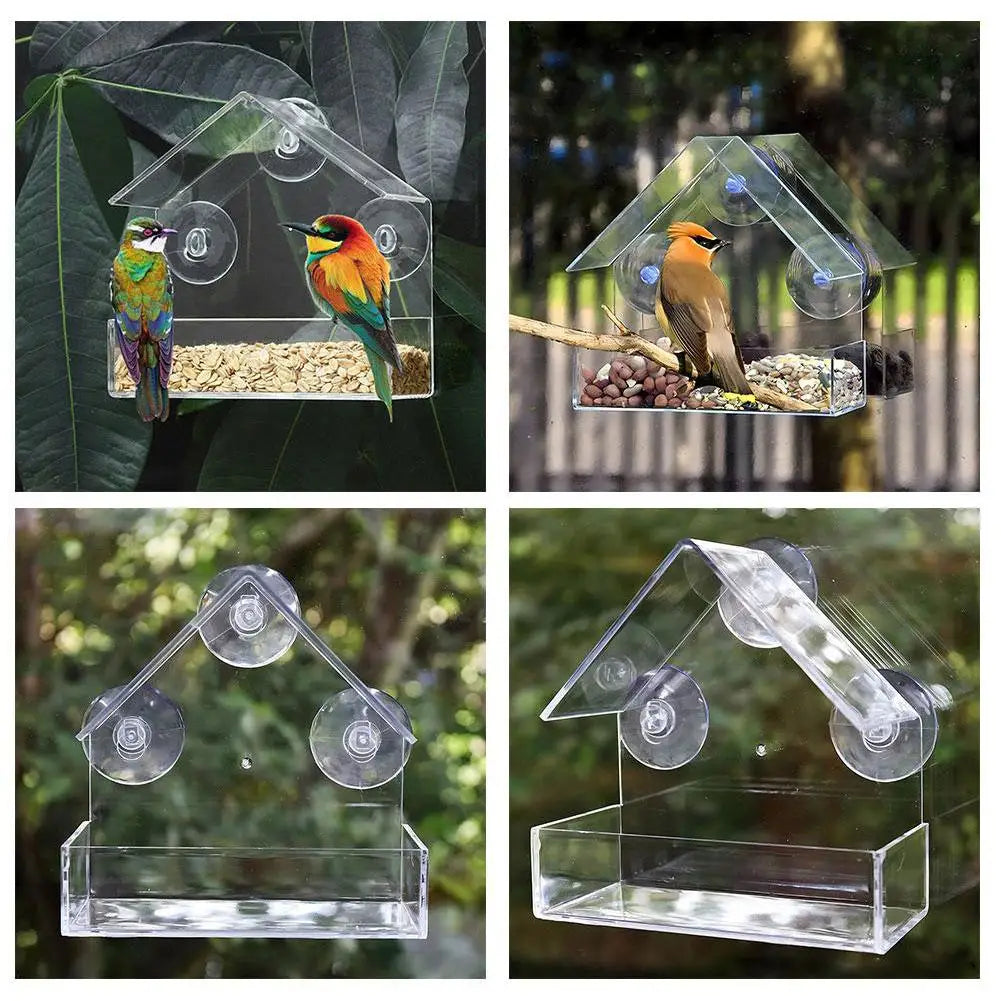 Acrylic Transparent Bird Feeder with Suction Cup