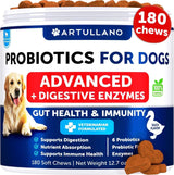 Probiotics For Dogs Support Gut Health Itchy Skin Allergies Immunity Yeast Balance Dog Probiotics And Digestive Enzymes With Prebiotics Reduce Diarrhea Gas 180 Probiotic Chews For Dogs