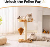 Mewoo Cat Scratching Post With Bed - Small Cat Tower With Sisal Scratcher, Removable Perch & Ball Track Toys For Indoor Cats Brown, Medium
