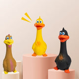 3pcs  Latex Screaming Chicken Toys Eco Friendly TPR Pet Squeaky Dog Interactive Play Chew Toys