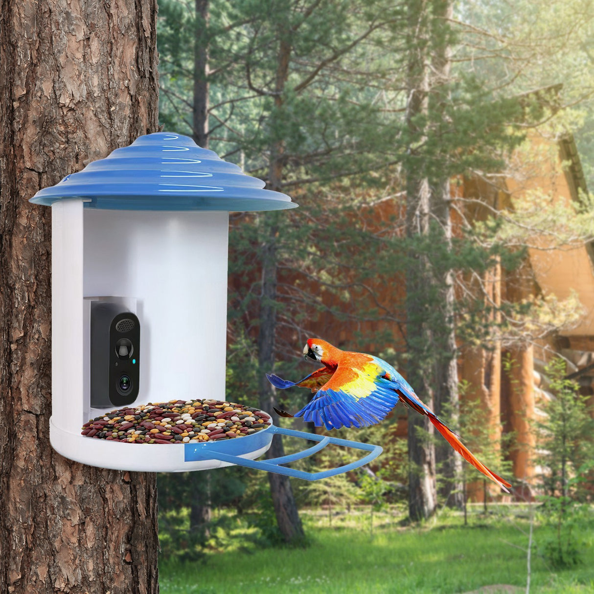 Smart Bird Feeder With Solar Powered Camera 1080P HD AI Identify PIR Motion Auto Capture Video Cloud Card Storage WiFi Connection App Control IP65 Waterproof