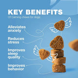 Hemp Calming Chews For Dogs Dog Calming Treats Anxiety Relief For Dogs