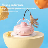 CAT Teasing Toys - Ideal For Fun And Engagement In Pets, Includes Various Interactive Toys For Dogs